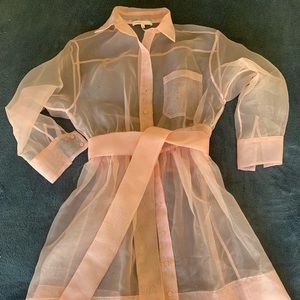 Maje Paris Organza Dress with Slip